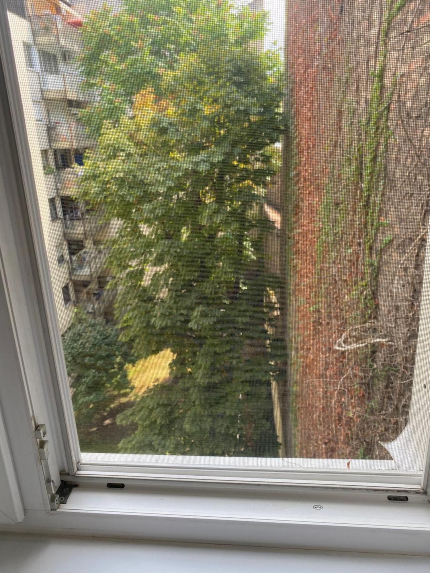 Budapest Oasis One Bedroom For Renting Esterno foto